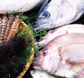 We Procure Our Own Tuna and Other Raw Seafood Materials to Ensure Stable Supply