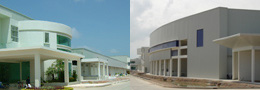 Sea Wealth Frozen Food Co., Ltd.
