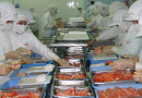 Viet Foods Co., Ltd.