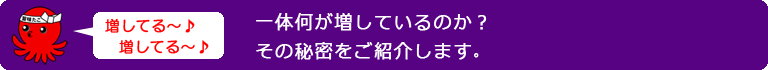 一体何が増しているのか？その秘密をご紹介します。