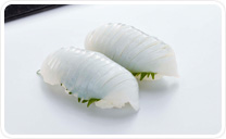 紋甲イカ