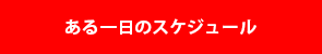 ある１日のスケジュール