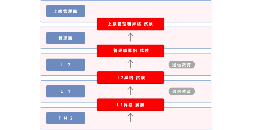 昇格制度全体概要