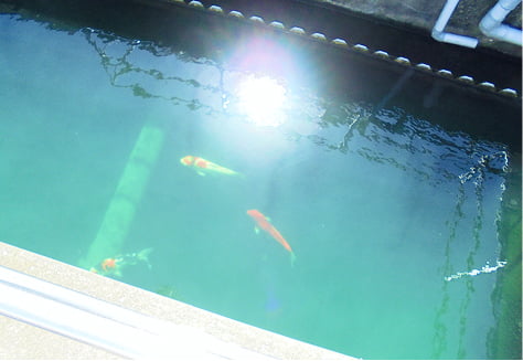 品質管理・保証