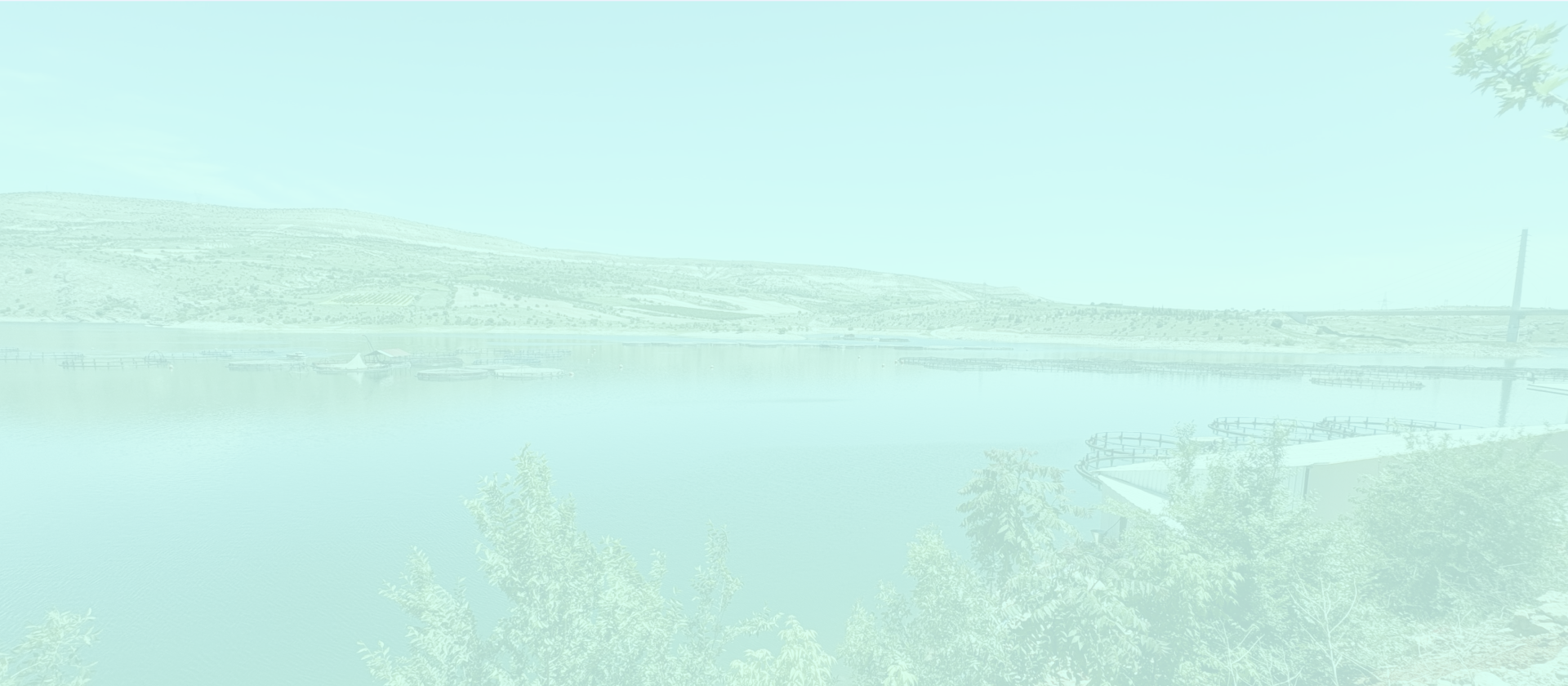 スライド3 背景画像