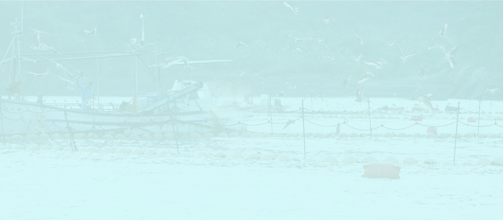 スライド4 背景画像